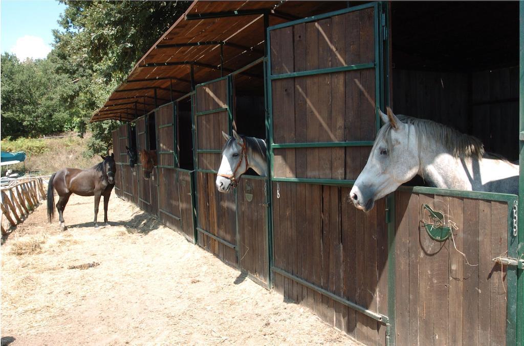 La Riserva Montebello ボルセーナ エクステリア 写真